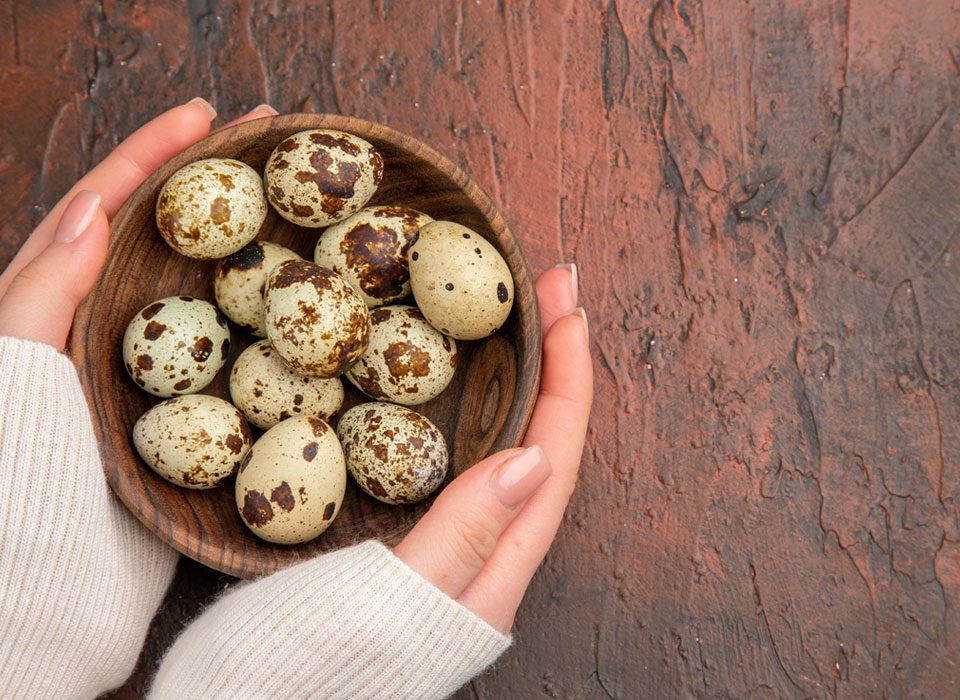 O Poder Nutricional dos Ovos de Codorna